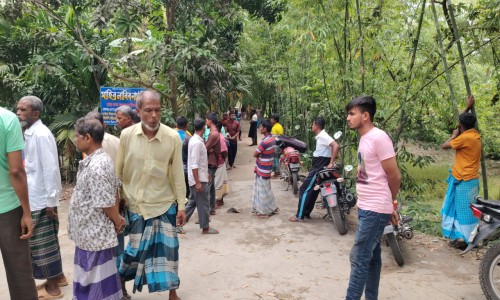 3 including SSC examinee killed in road accident in Rangpur