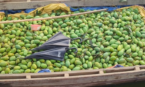 Busy seasonal fruit market in Rangamati