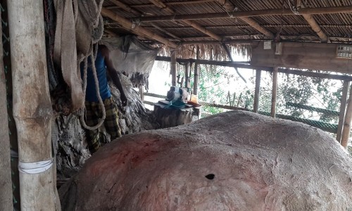 Low demand for sacrificial animal hides, traders disappointed by prices
